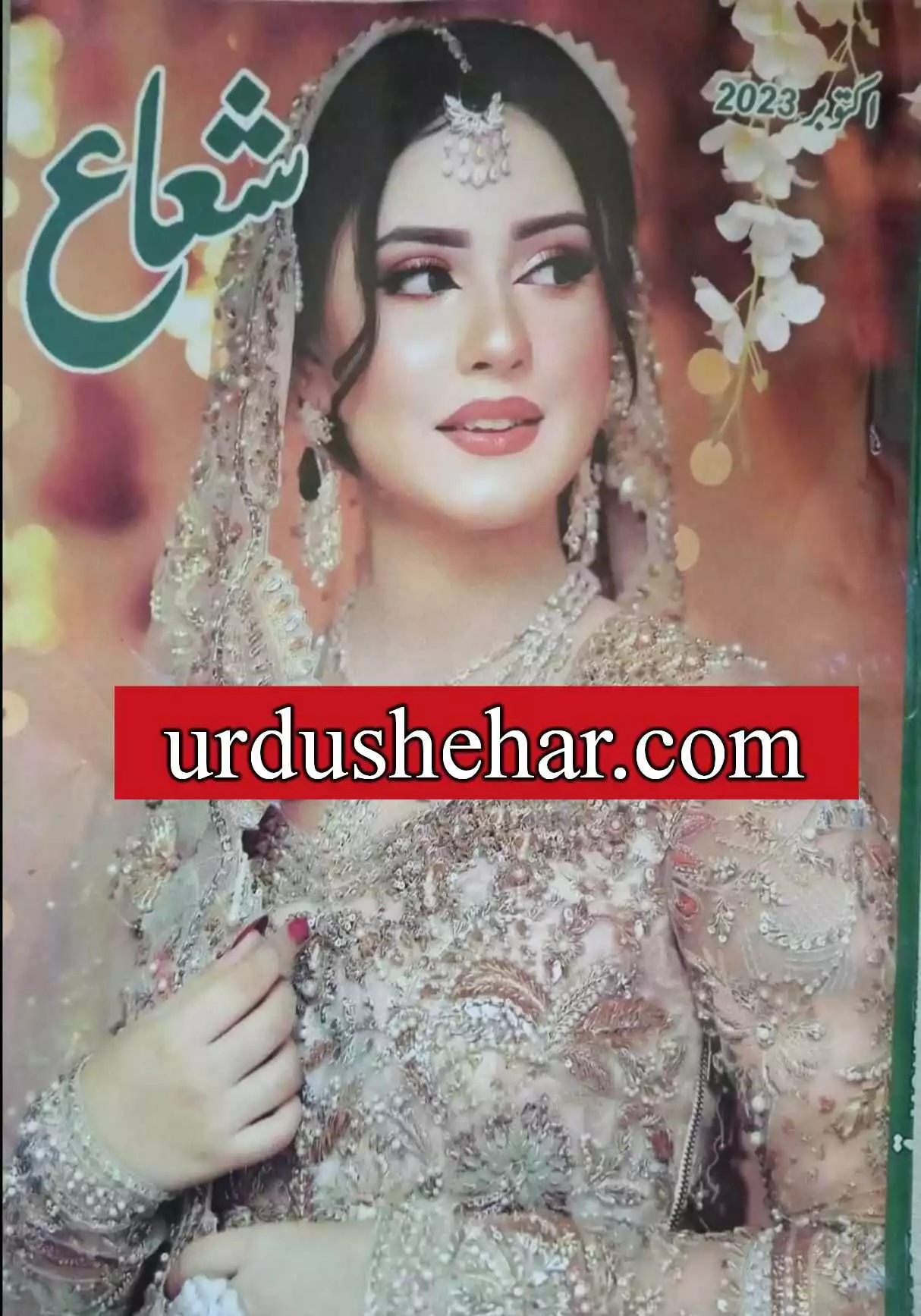 Shuaa Digest October 2023 Pdf Free Download